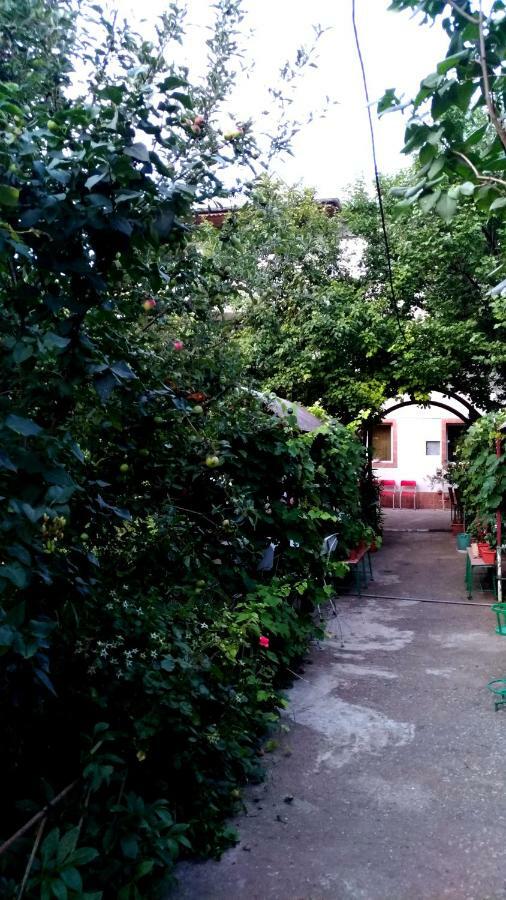 Casa Din Gradina Villa Eforie Sud  Eksteriør billede