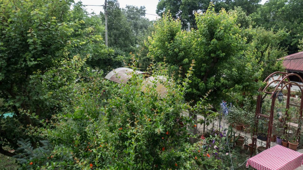 Casa Din Gradina Villa Eforie Sud  Eksteriør billede