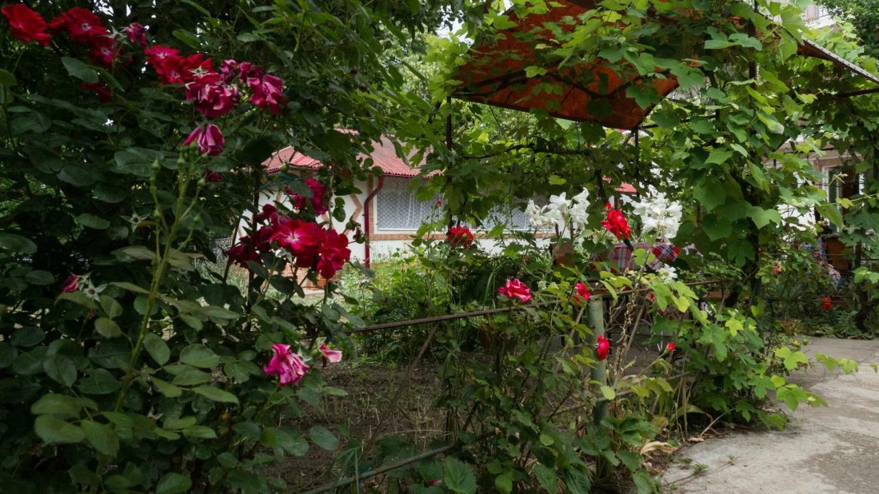 Casa Din Gradina Villa Eforie Sud  Eksteriør billede